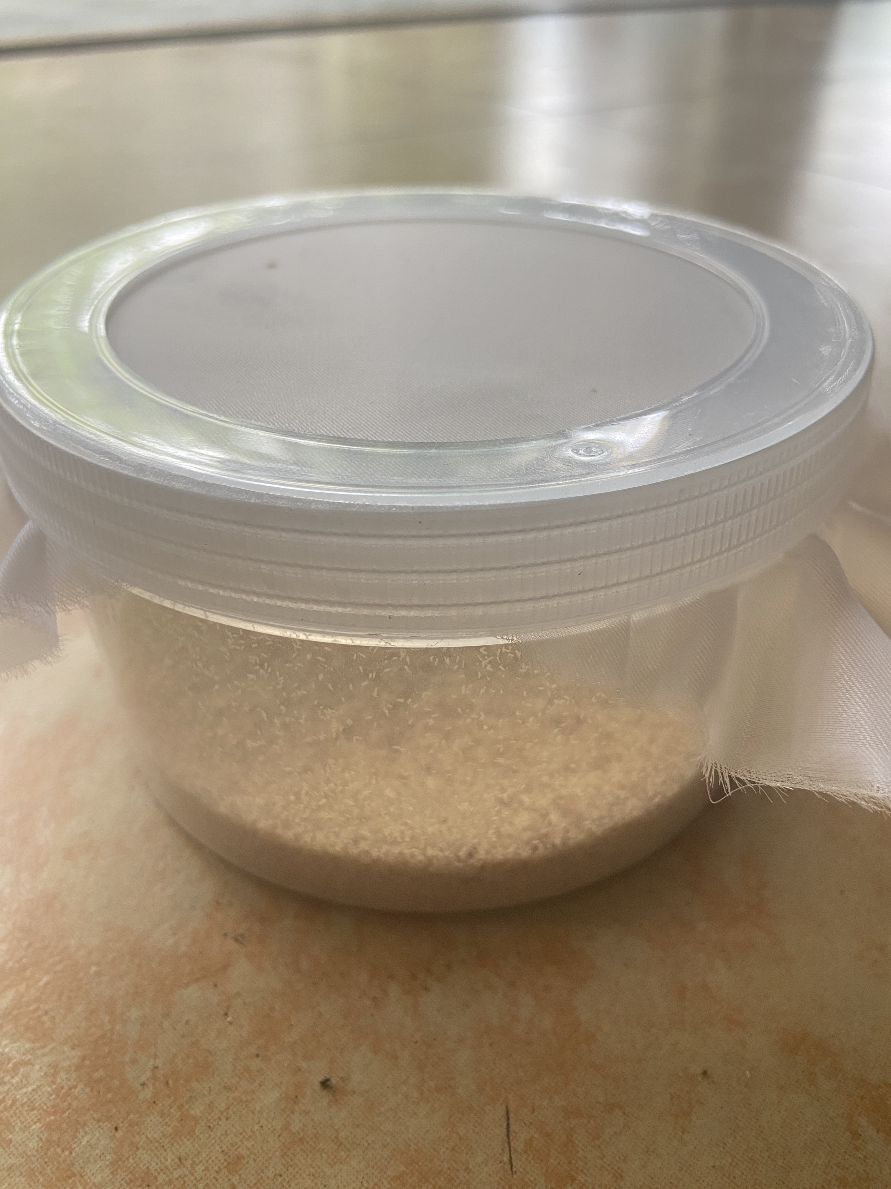 ［娟姐专用链接］黑水虻蛋白虫虫卵，50g可养出200斤