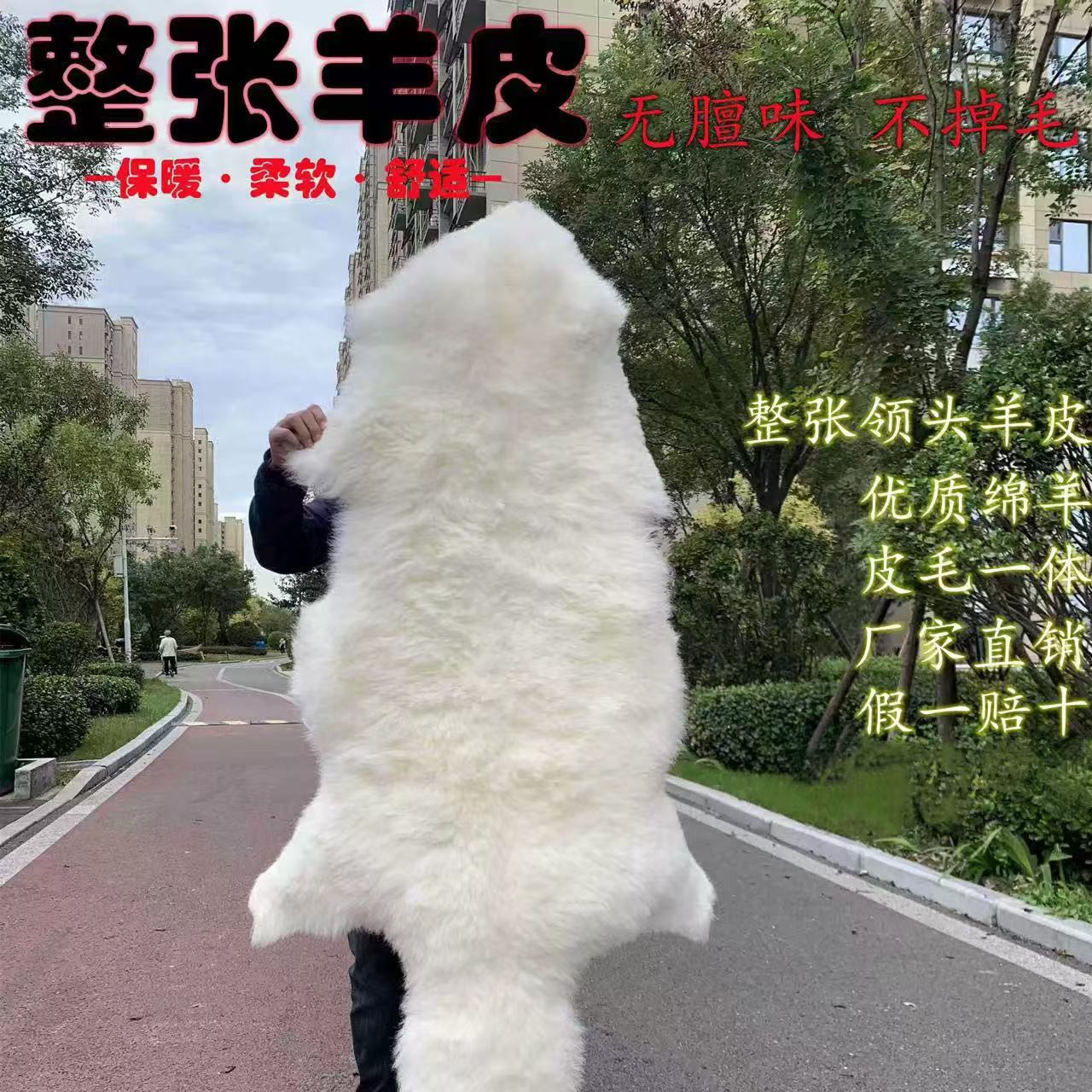 整张羊皮坐垫真羊皮皮毛一体