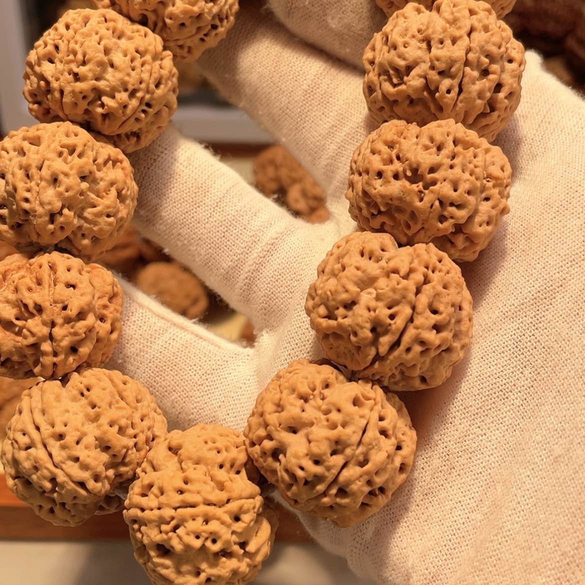 【闪购商品】金刚菩提手串下**车