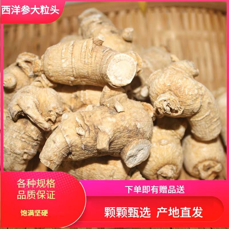 长白山正宗西洋参粒头花旗参参头泡酒煲汤泡茶8年根吉林长白山