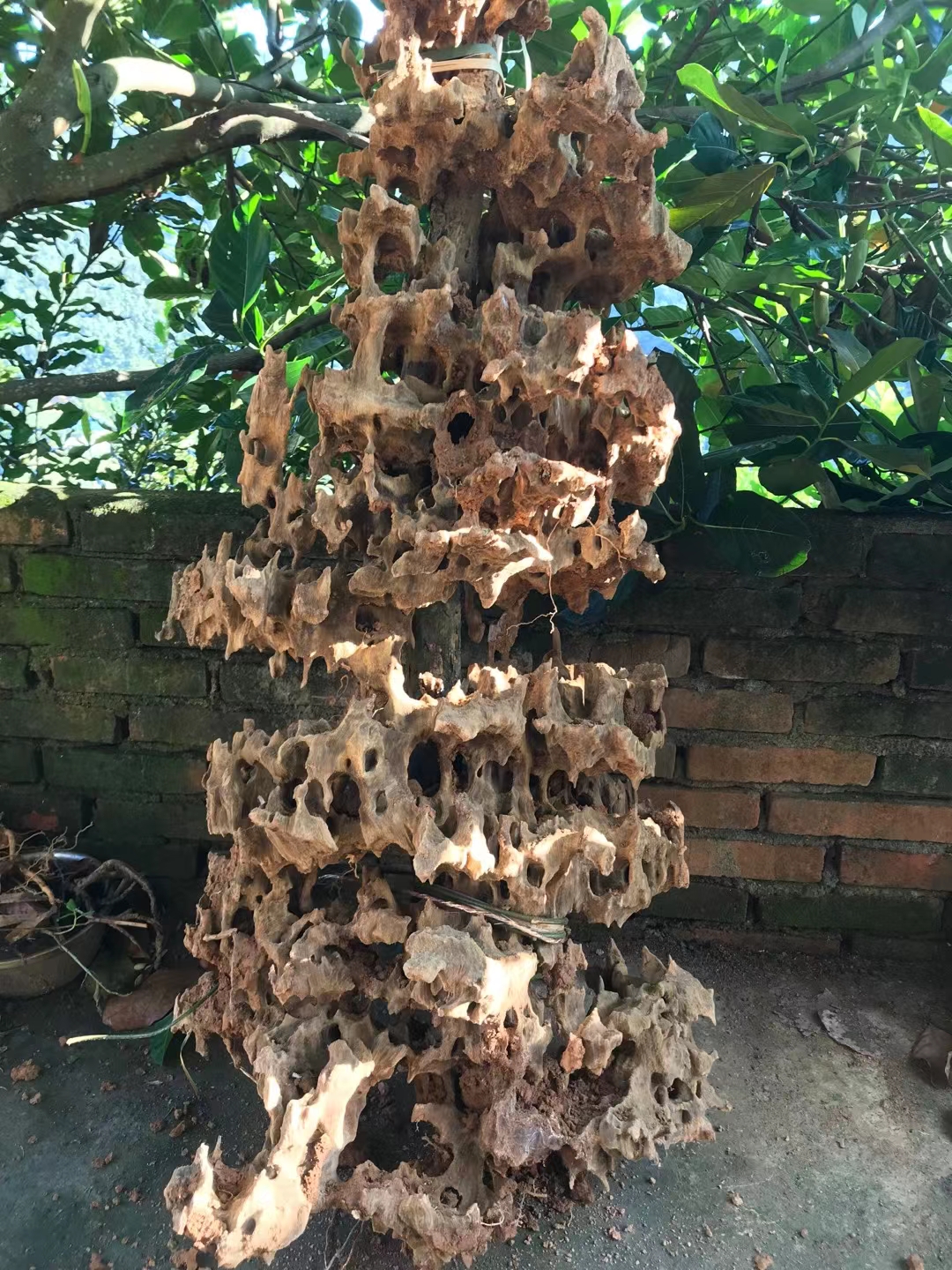 天然乌木风化木摆件一物一拍价格通用链接