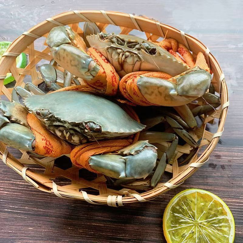 【限福建省内下单】特大红膏母蟹  青蟹 海蟹 膏多肉满[勿放冰箱]
