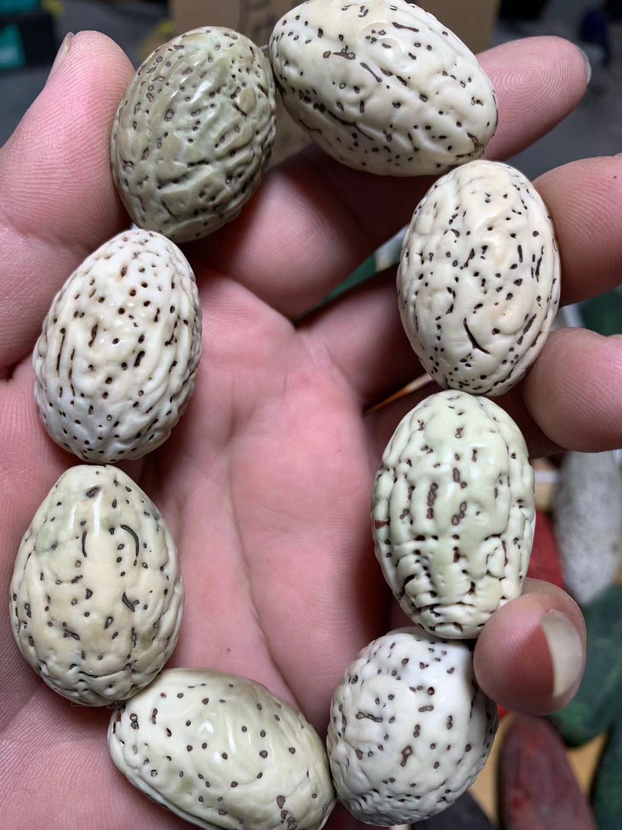 千眼菩提刷果手串一物一图