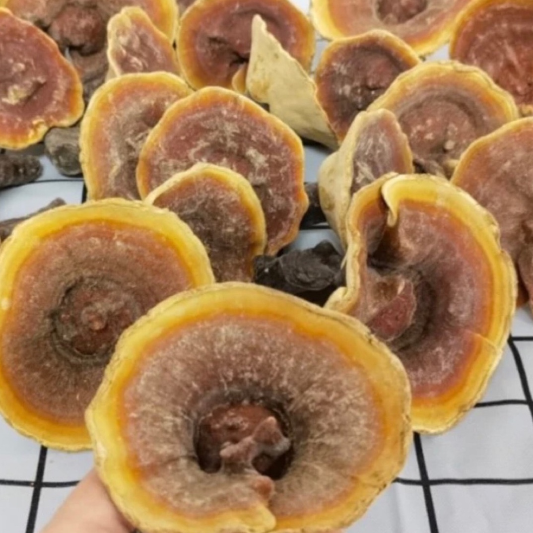 【大山好货】金边林之 土特产（500g）