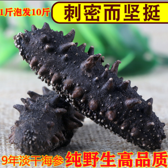 青岛野生纯淡干海参干货非即食深海辽刺参大连参9年
