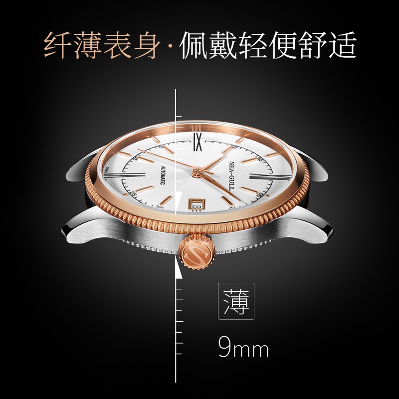 【官方号专属】海鸥手表单历设计师系列6077商务简约自动机械男表