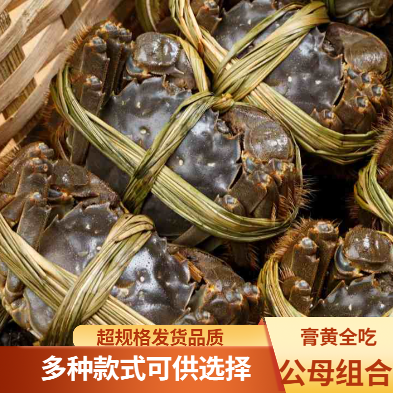 【蟹王蟹后】大闸蟹 公5.5-5.2两母4.5-4.2两 4-5对  鲜活 顺丰包邮