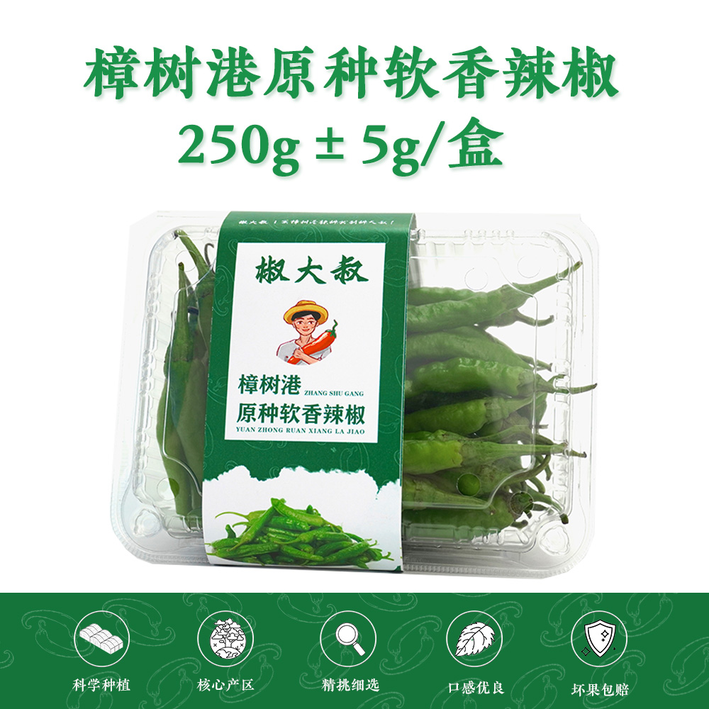 【顺丰包邮】新鲜特产富晒湖南正宗樟树港软香辣椒现摘现发嫩
