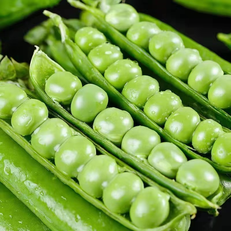 2元包邮福利云南新鲜豌豆1斤包邮应当季蔬菜青豆带壳生鲜甜豌豆粒