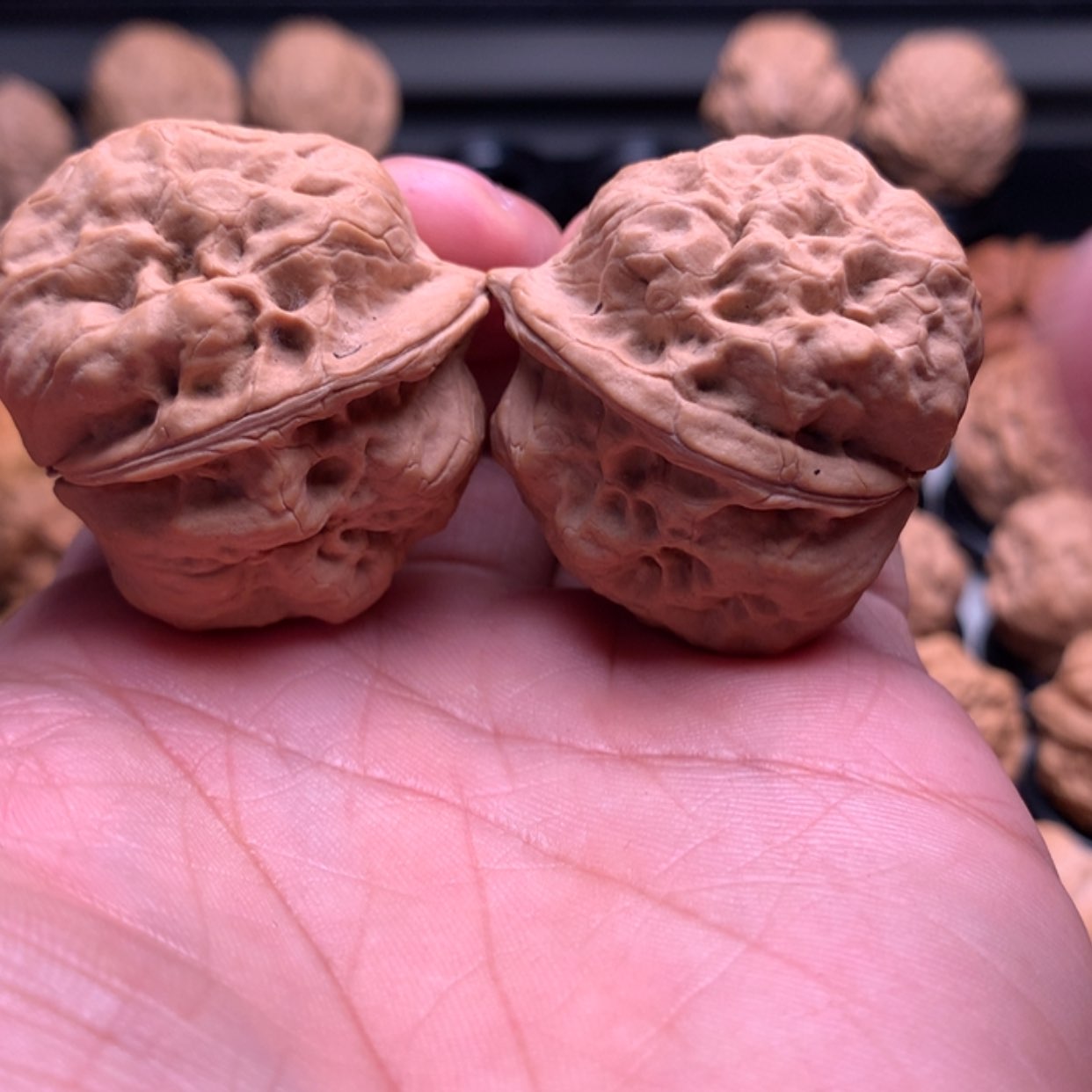 【闪购商品】文玩核桃把件过*哥