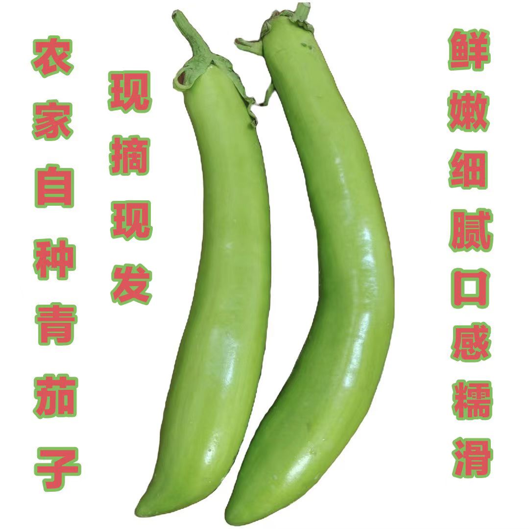 安徽芜湖农家蔬菜现摘现发长青茄子2斤/4斤组合包邮【泡沫盒保鲜】