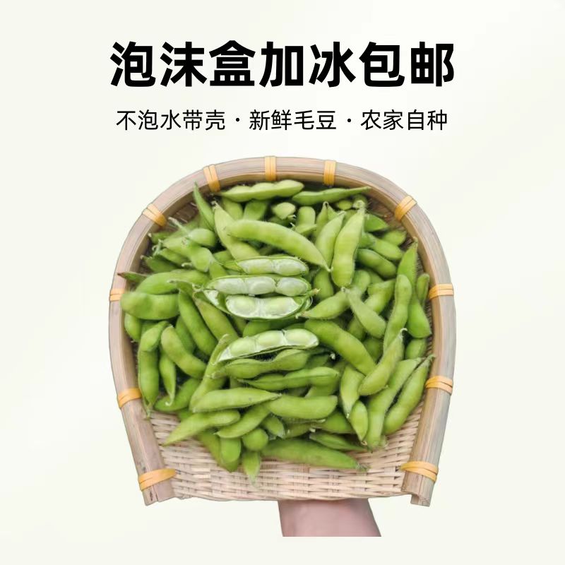 安徽芜湖农家露天九月不泡水带壳大青毛豆2斤/4斤泡沫盒加冰包邮
