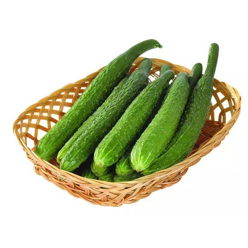 百世田源带刺黄瓜 约650g