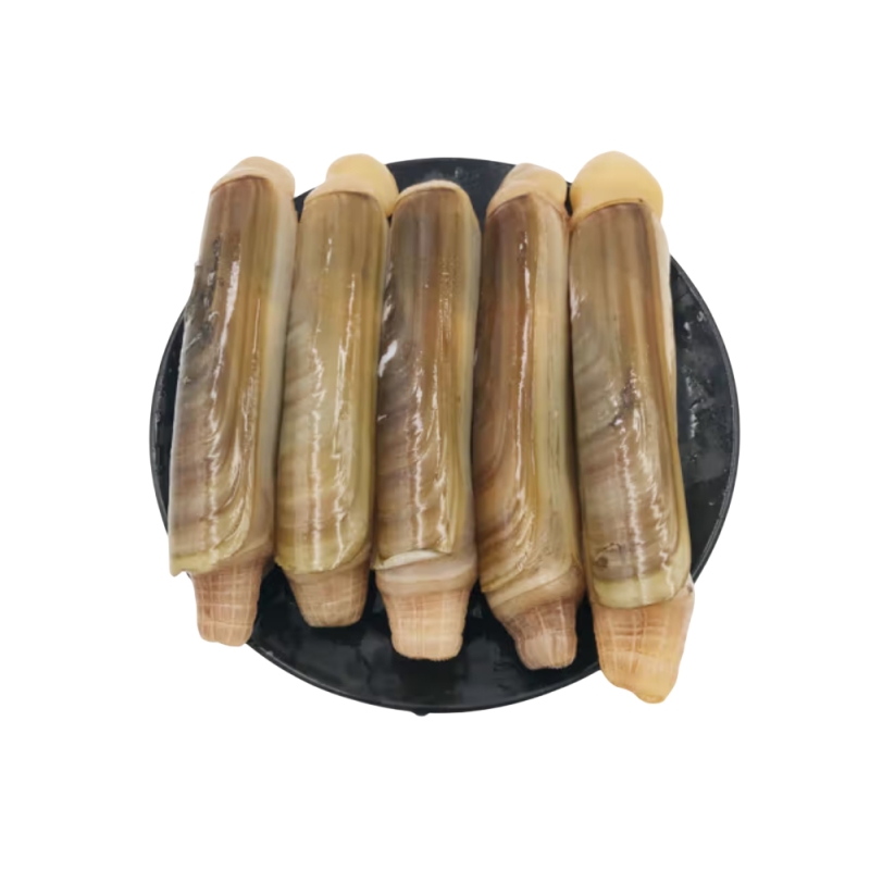 蛏子 约500g