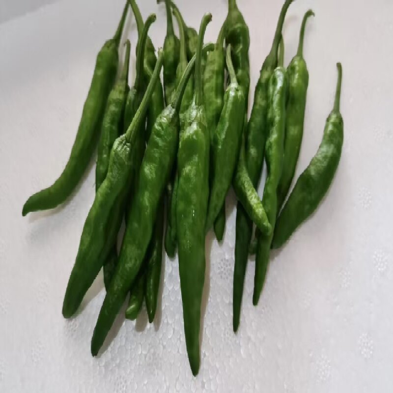 百世田源樟树小辣椒 200g