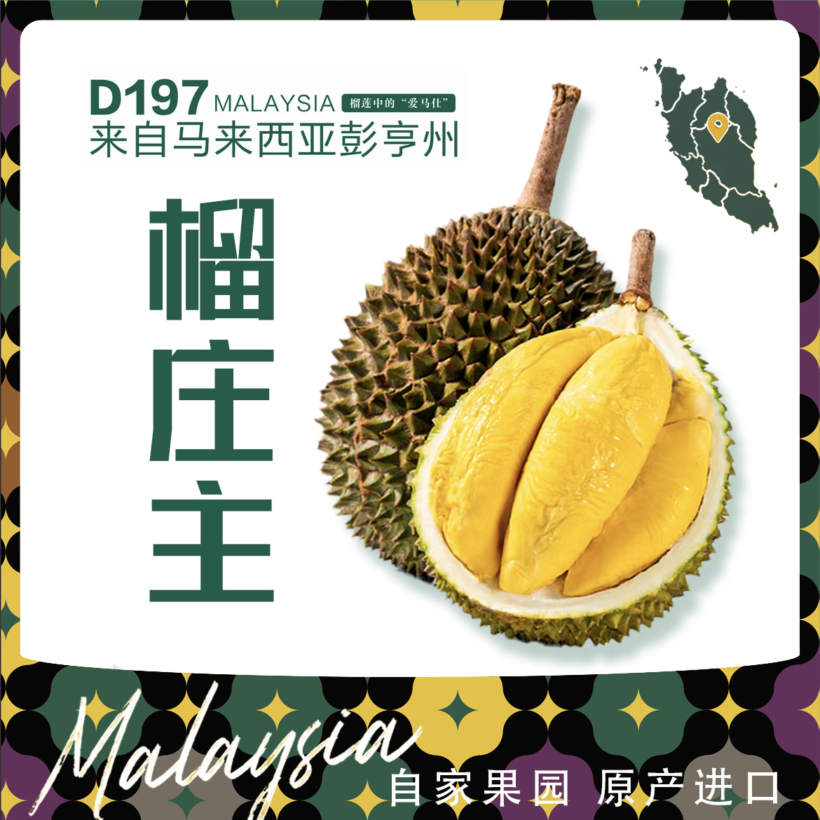 正宗猫山王榴莲D197小果 2斤-3斤 济南同城1-2小时送达 液氮榴莲/冷冻榴莲猫山王马来西亚