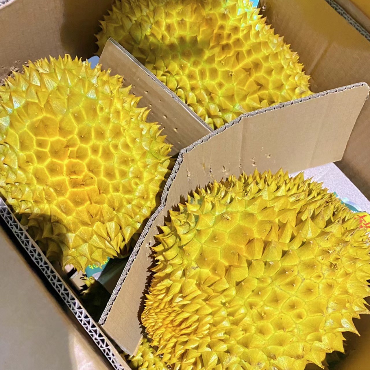 【新鲜金枕榴莲】核小 一物一拍 默认开果  甜糯可口4-8斤不等榴莲同城配金枕泰国