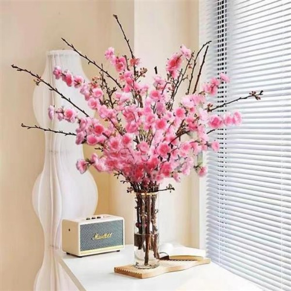【鲜枝水培红梅】冬季开花梅花水培鲜枝插水养绿植花卉耐寒好养