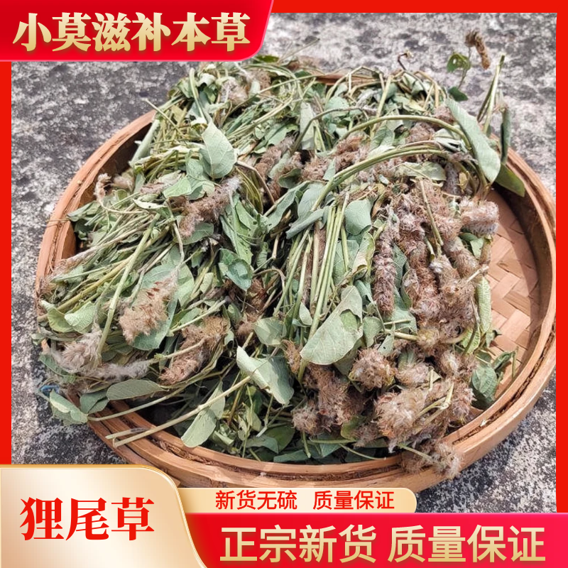 广西狸尾草野生羊咩香捆扎干货狐狸尾巴草煲水煲汤叶菜250g-500g