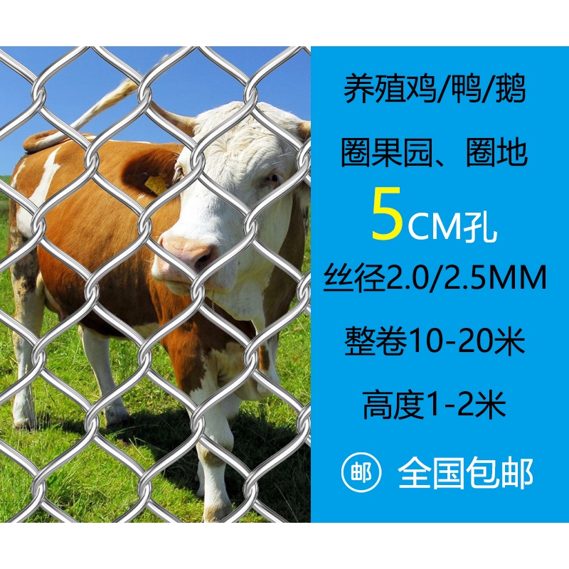 热镀锌铁丝钢丝网勾花棱形网鸡鸭羊猪牛养殖果园网荷兰网防护围栏