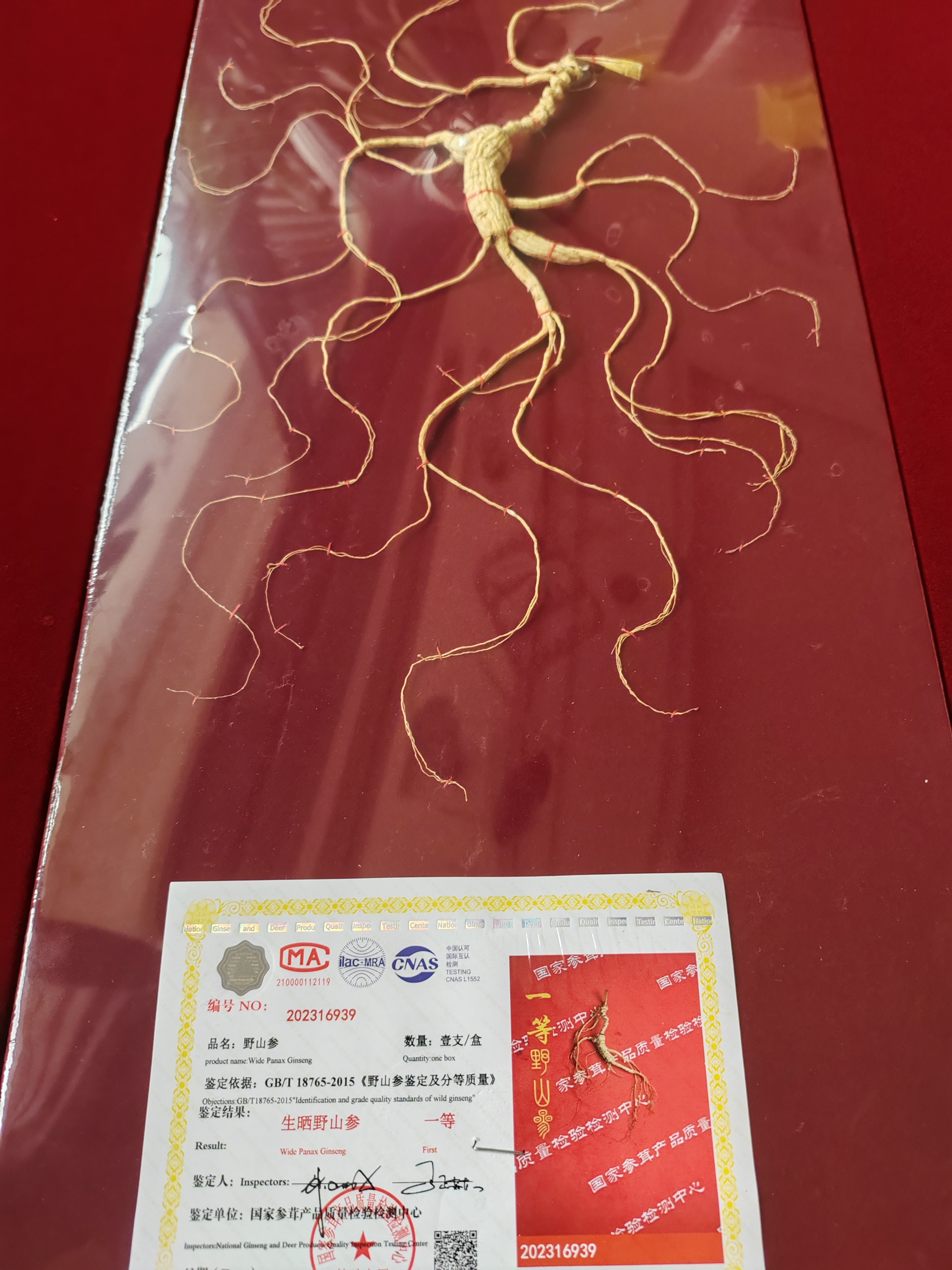 国检60Cm板林下人等参参礼盒生晒参配礼盒手提袋国检一