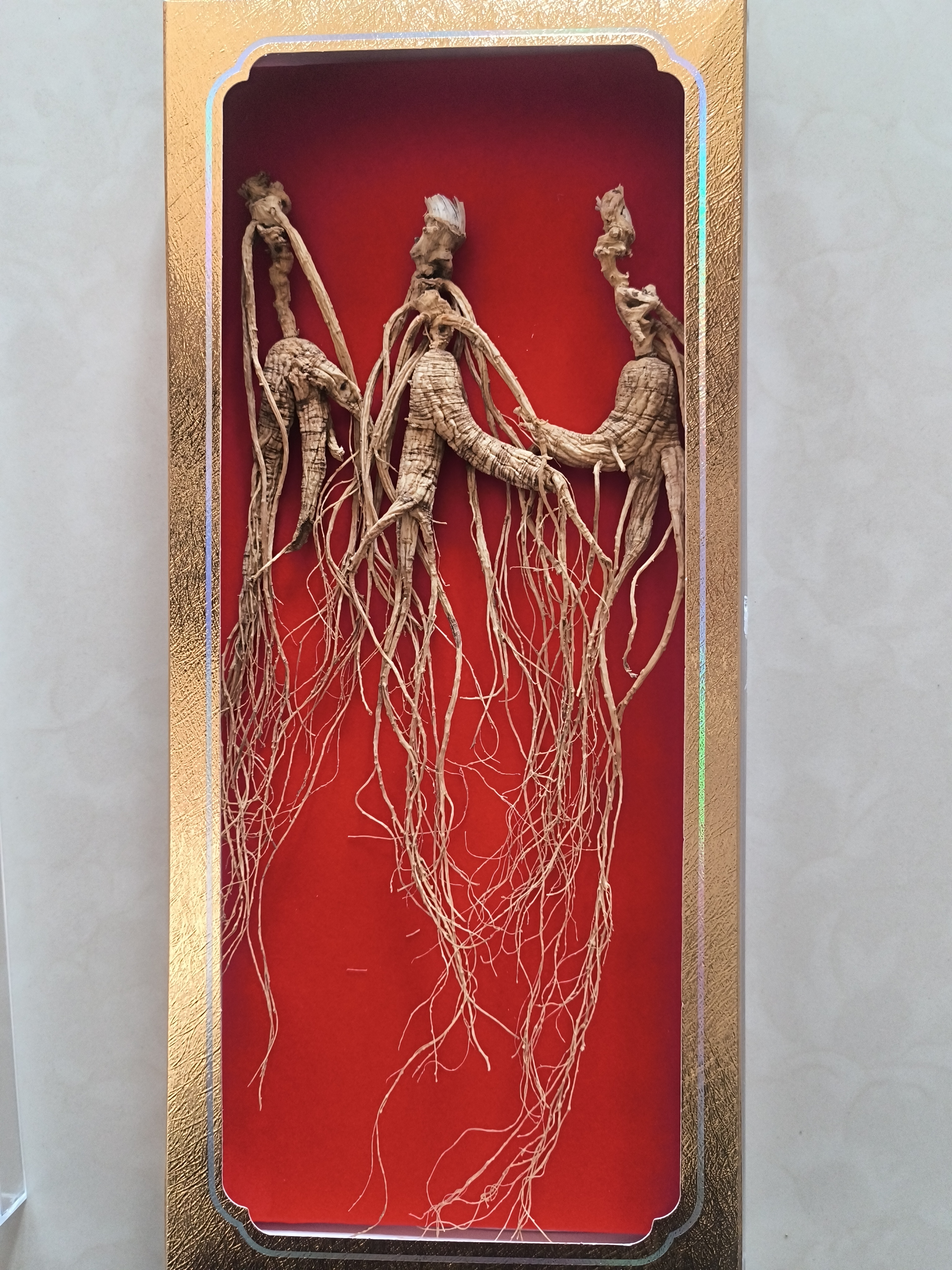 长白山林下山参干参带包装