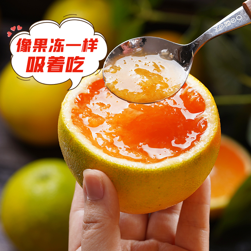 现摘现发秭归九月红果冻橙 新鲜水果爆汁入口即化