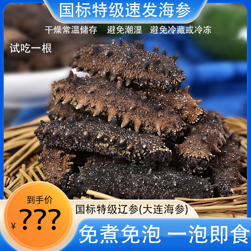 【国标特级辽参】 大连底播干海参（不蒸！不煮！纯净水直接泡发）xy