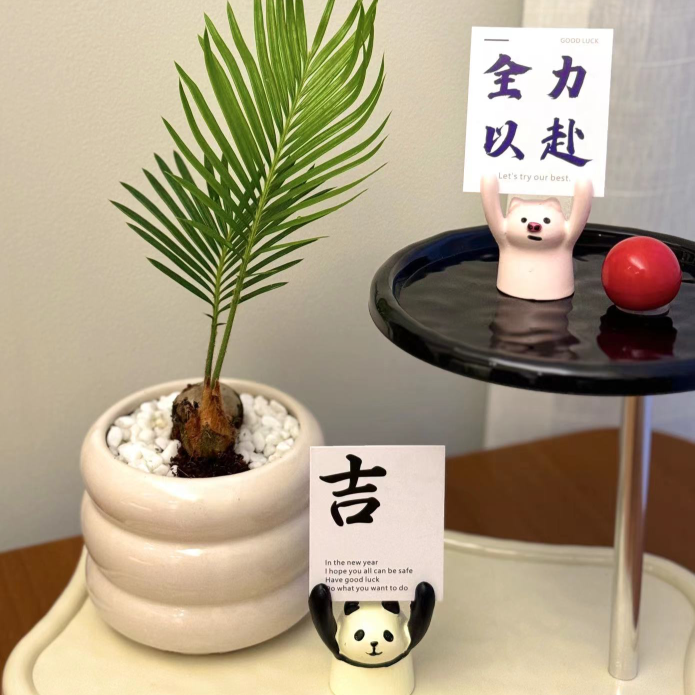 铁树宝宝含甜甜圈盆懒人盆栽办公室桌面北欧绿植好养易活四季常青