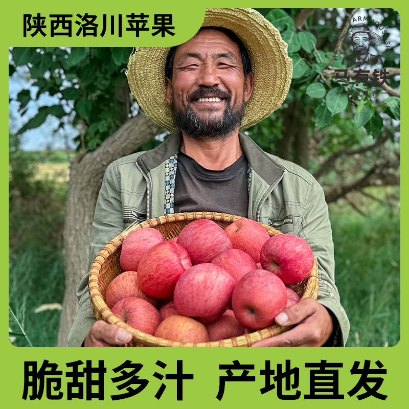 陕西洛川红富士苹果4斤/5斤/8.5斤脆甜新鲜水果产地直发