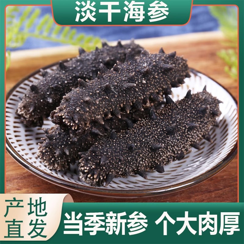 【大连辽刺参】大连底播海参 辽参 海参 直播间同款更多鱼I