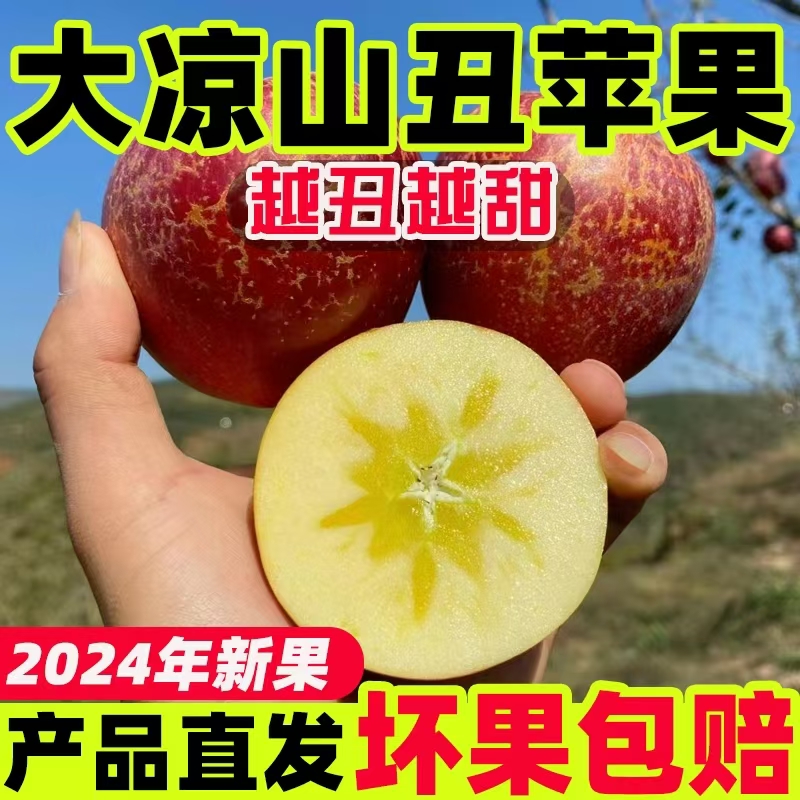 【坏果包赔】B正宗四川盐源头茬冰糖心丑苹果现摘高山苹果