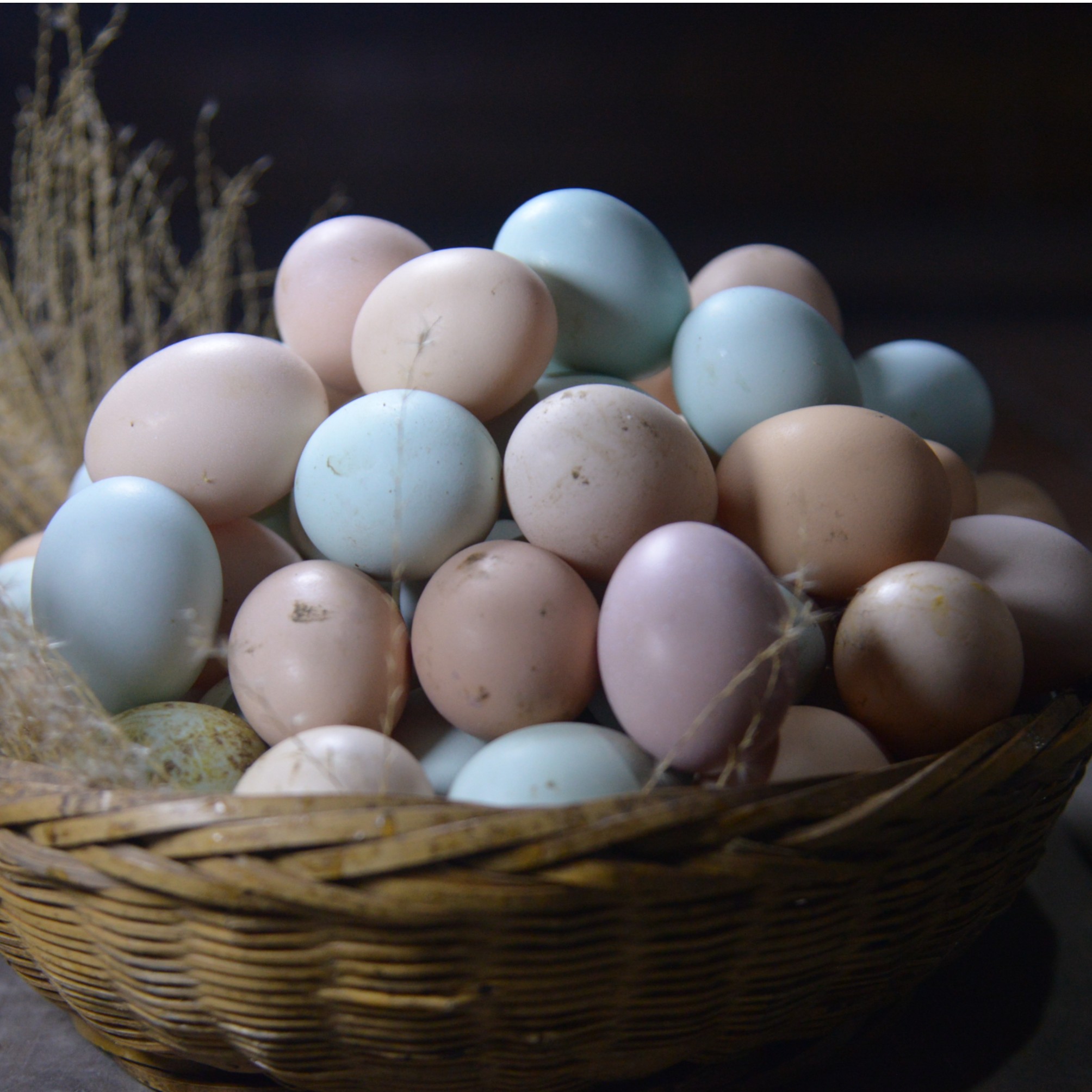 高山农家散养雪峰乌骨鸡蛋4农产品散装 食用土鸡蛋新鲜成品