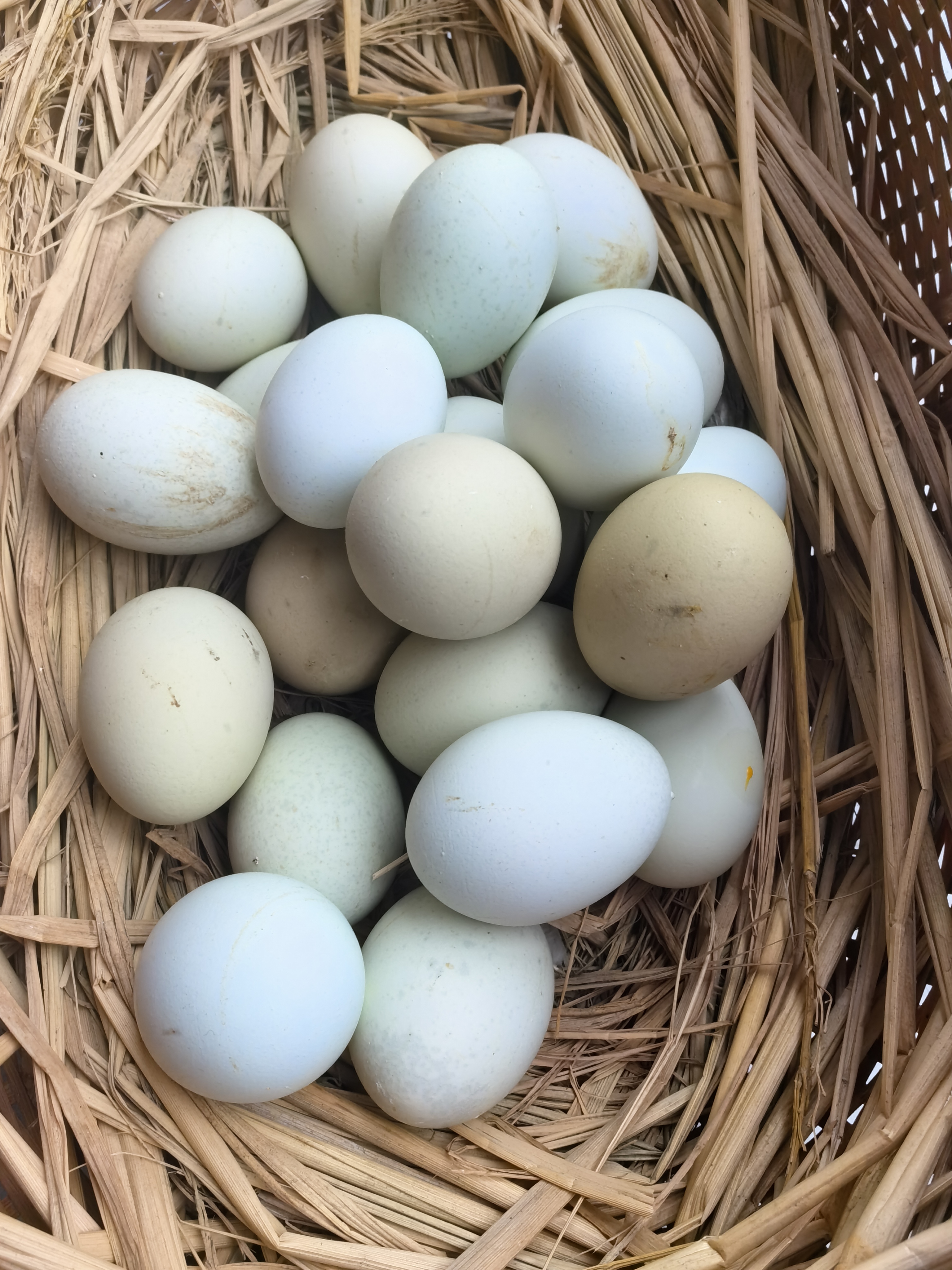 临安天目山荣坞里高山散养乌骨鸡鸡蛋，60个一箱