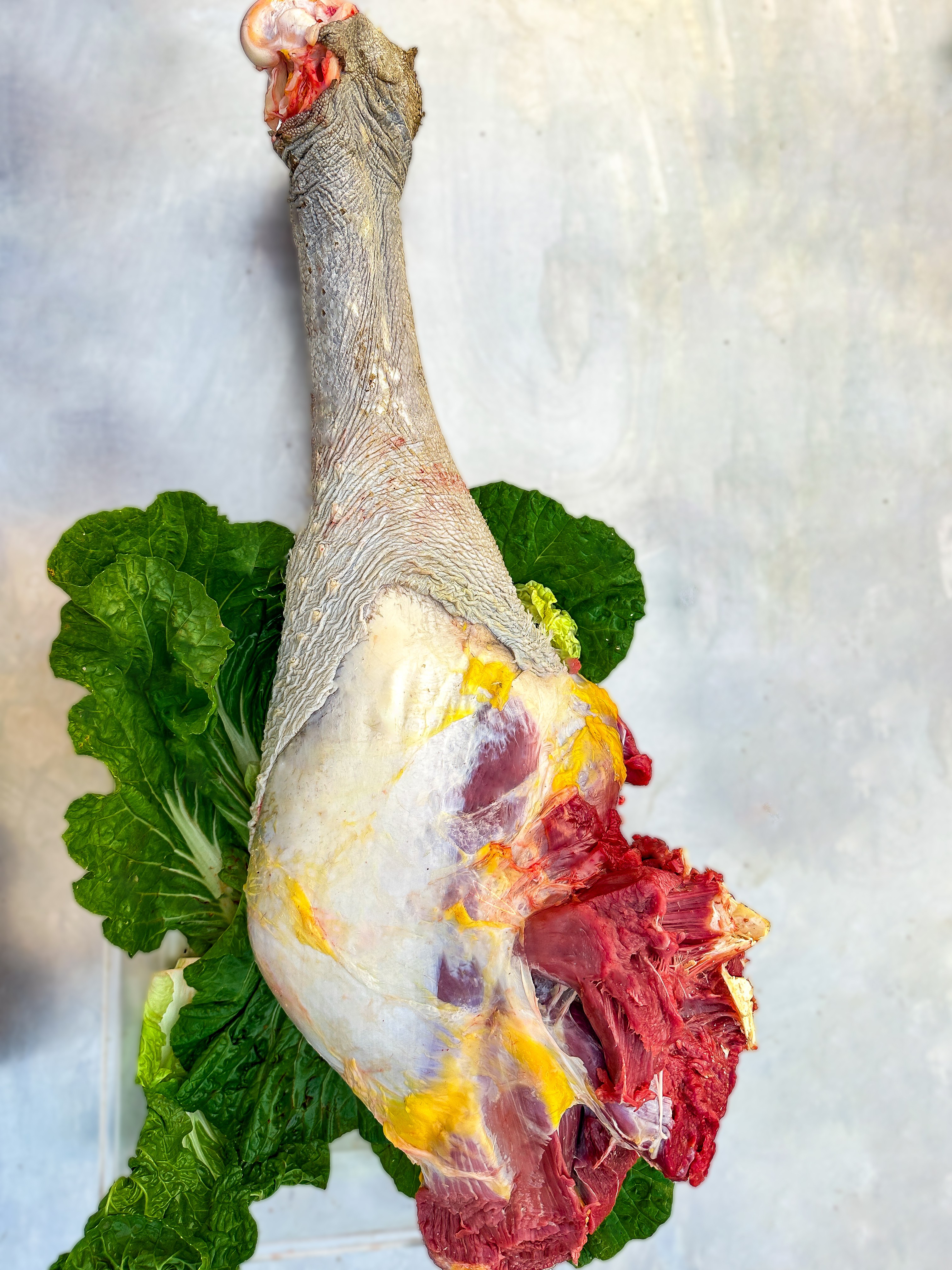 新鲜鸵鸟大腿直播间现场称重改价链接