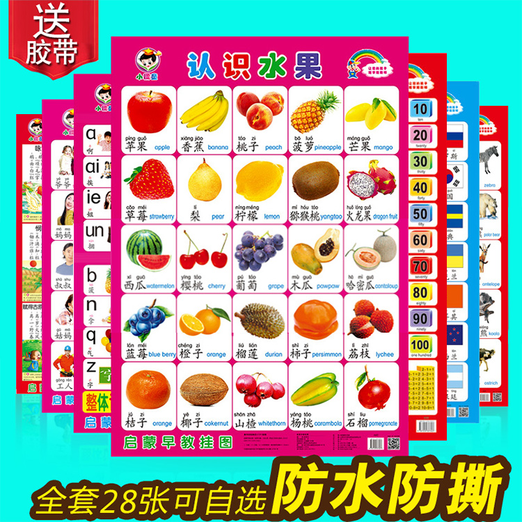 小孩子认识动物画贴墙上字画儿童看图识字挂图认物2一3岁图片识人