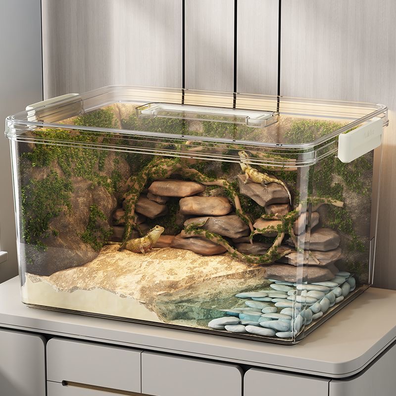 高透PET鱼缸生态箱高清金鱼缸饲养水族乌龟仓鼠生态造景收纳箱子