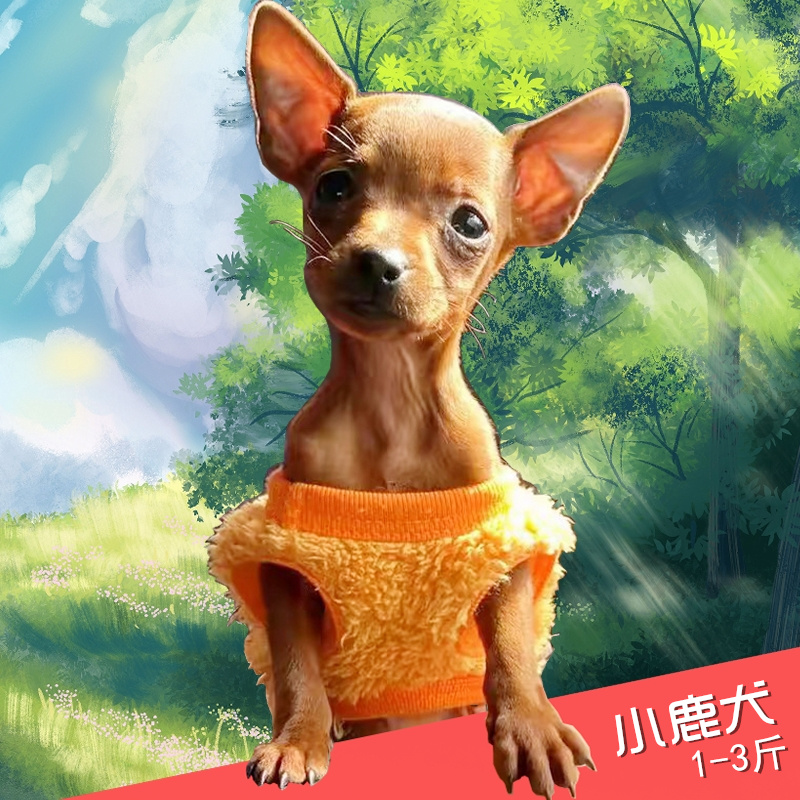 小鹿犬衣服过冬小奶狗衣服泰迪迷你萌宠衣服小码猫衣服茶杯体绒衣