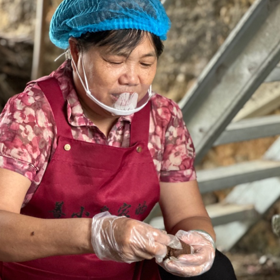 云霄特产 老金枣丸 开车旅游伴侣 休闲零食 蜜饯果脯
