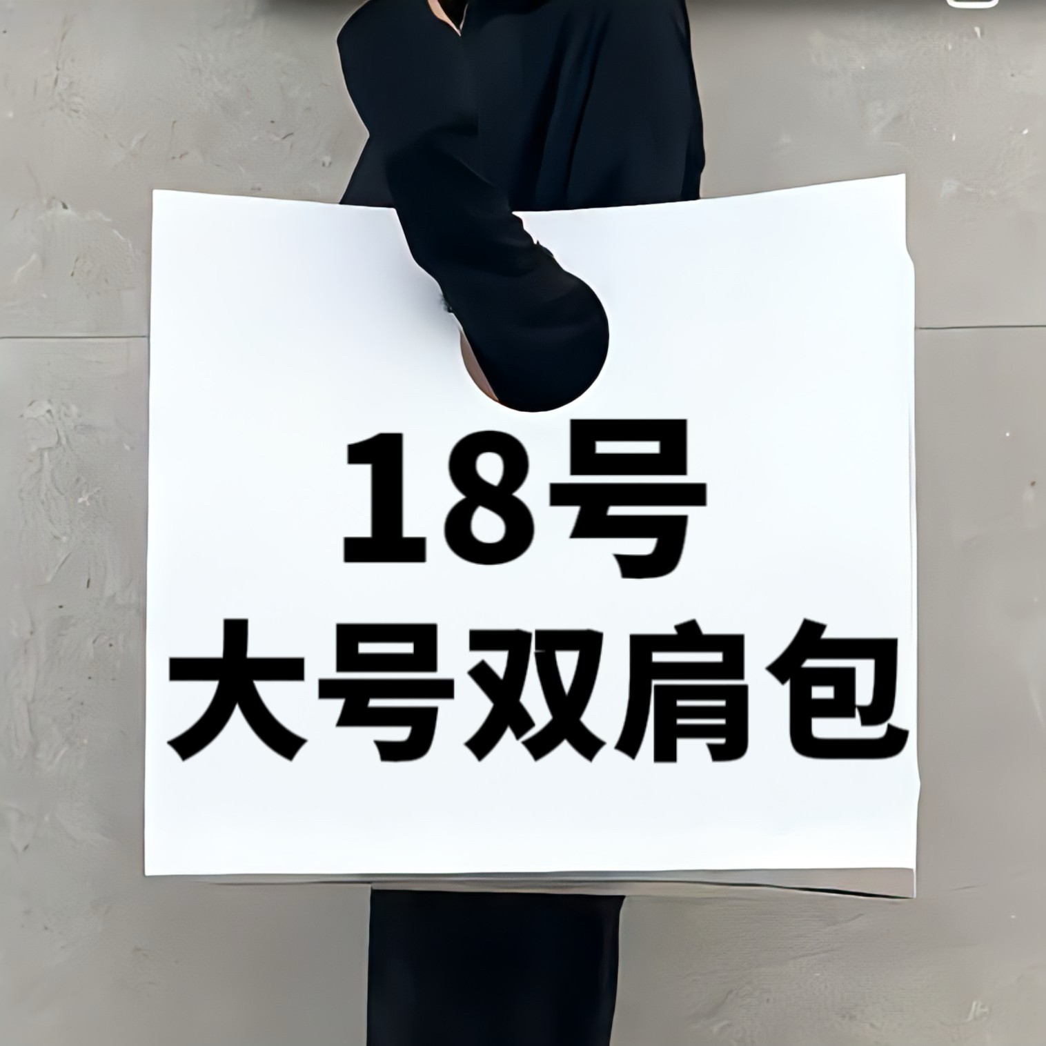 【18号】 大号双肩包 时尚休闲百搭潮流大号双肩包 307
