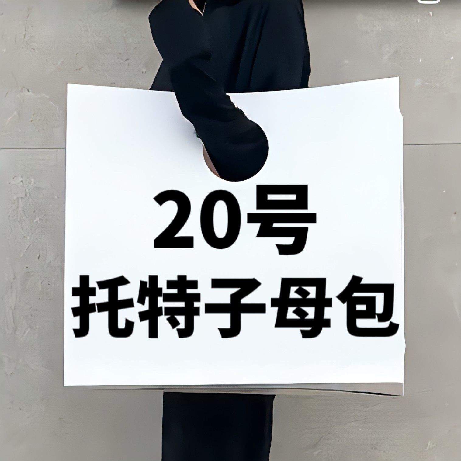 【20号】 托特子母包 时尚休闲百搭潮流托特子母包 77019-1