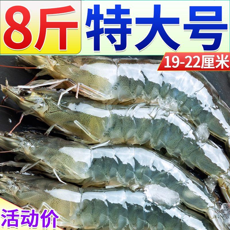 青岛大虾整箱超大虾基围虾鲜虾特大海虾速冻青大虾冻活虾海鲜水产