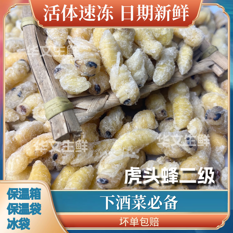 地蜂二级蛹（金环虎头蜂）