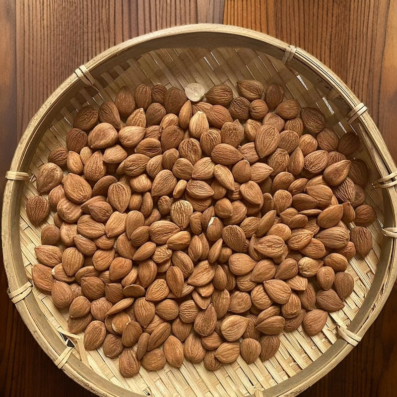 【源头山货】 南杏仁果 来自大山里的植物