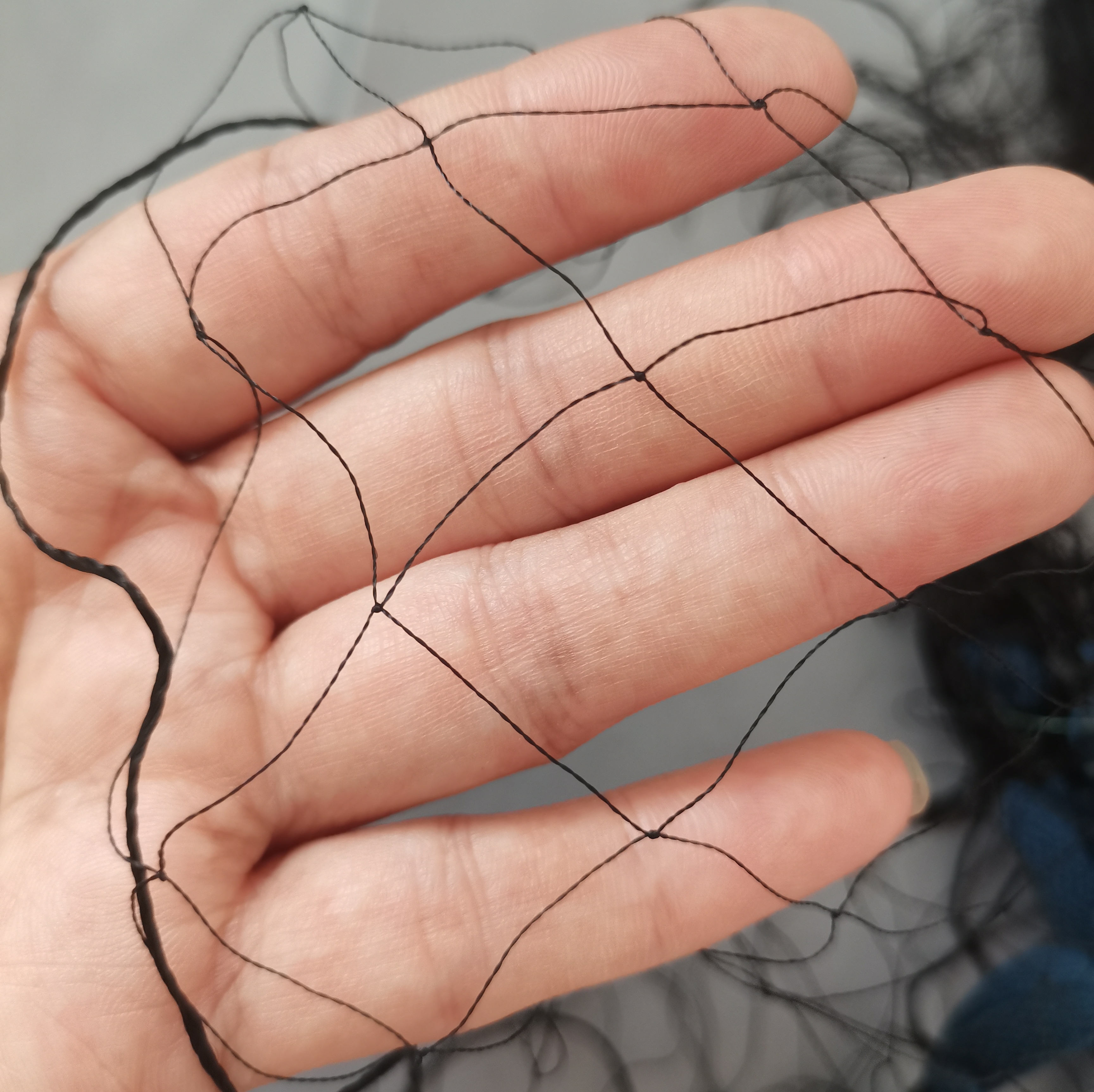 2.5防风尼龙线画安春户外防护网防鸟网大棚菜园防护网