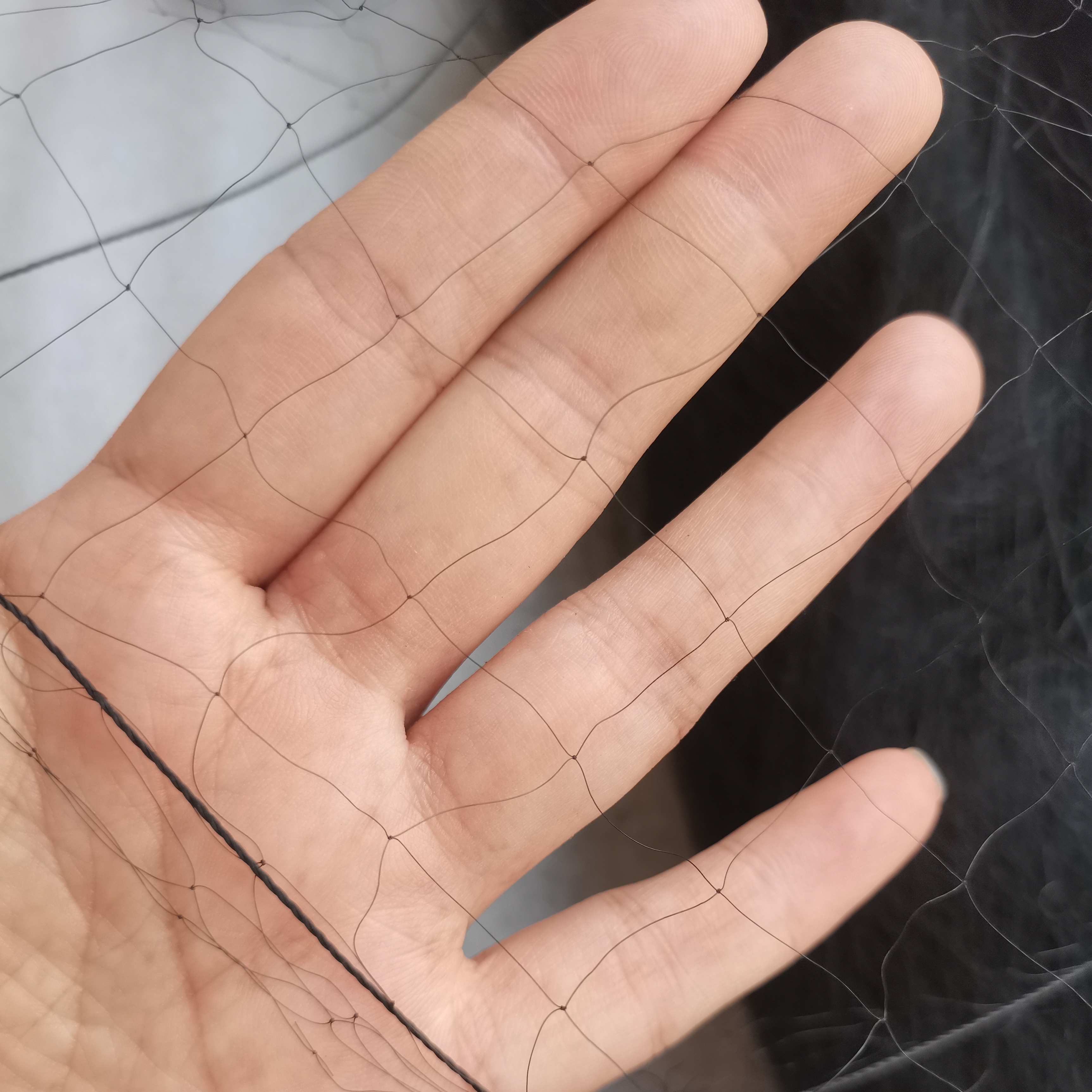 1.5防风款粗单丝加强尼龙线大棚户外防鸟网防护网