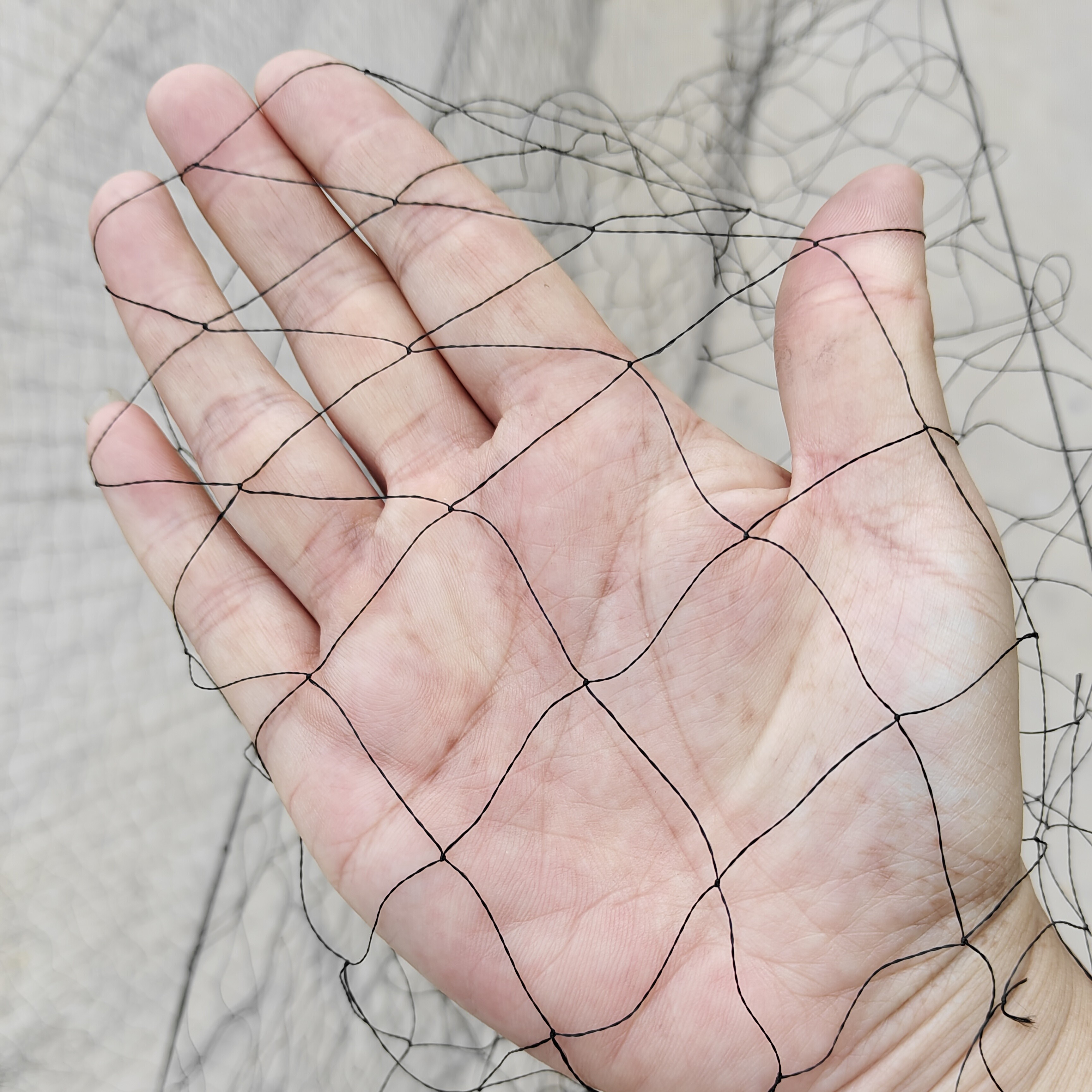 4.0防风尼龙线八九鸽菜园果园防鸟网防护网