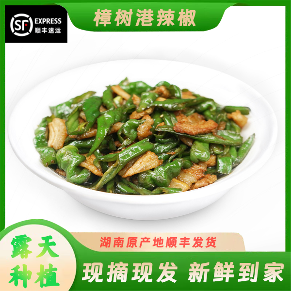 【正宗樟树港原种辣椒】微辣精选湖南新鲜产地采摘清香软香辣椒皮薄