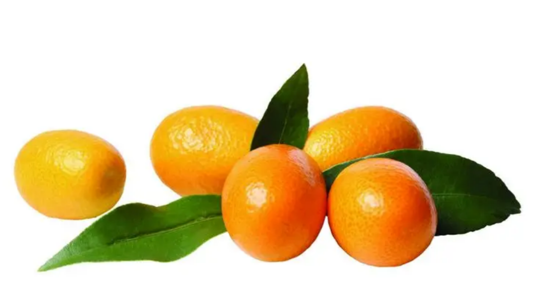 橘橘高山方便好吃一箱5斤