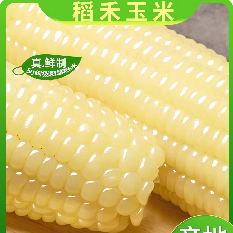 大白糯玉米×2根